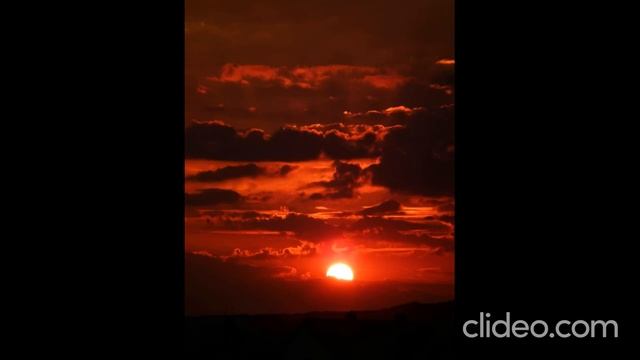 Природа говорит с нами через красный цвет смотреть онлайн