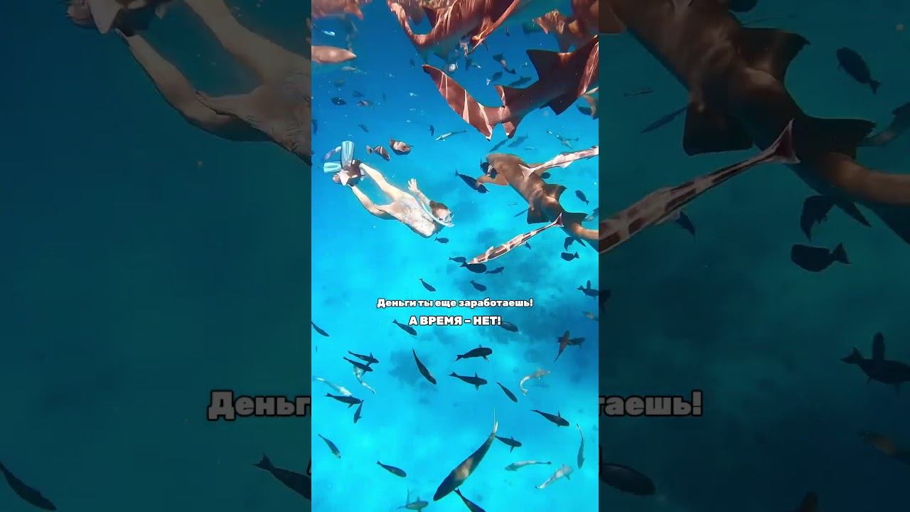 Ретрит на Мальдивы 3-10 марта! Подробности и запись аромайогаклуб.рф/retreatmaldives