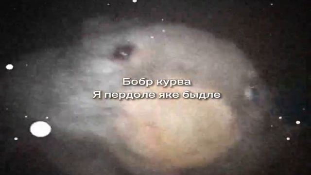 Бобр курва смотреть онлайн