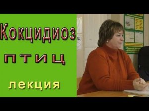 Кокцидиоз или эймериоз что это, как лечить?