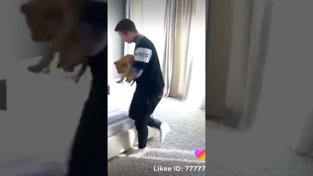 Прикольные видео из Like(Likee) смотреть онлайн