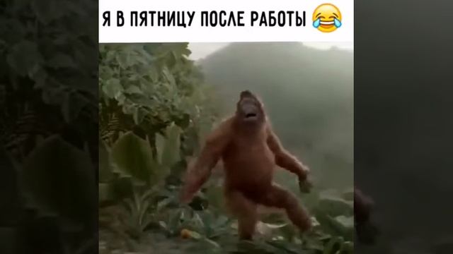 9 января 2023 г. смотреть онлайн