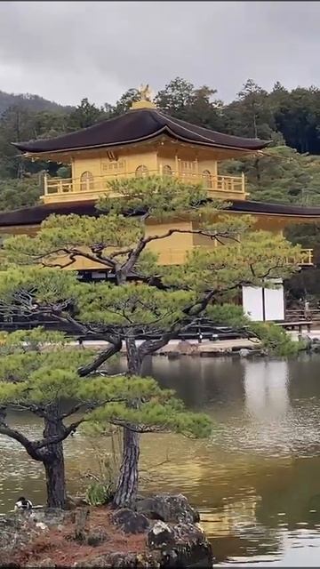 Golden Pavilion 金閣寺 #台長 #台長梁錦祥 #梁錦祥 #金閣寺 #Golden Pavilion смотреть онлайн