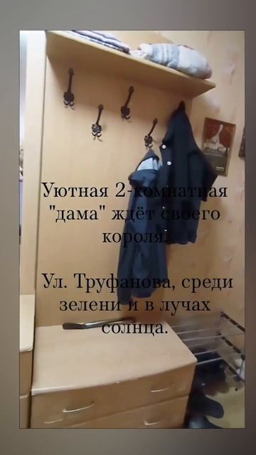 VID_20250203_213154_739