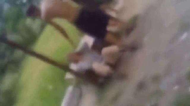 пьяные приколы пьяные девушки смотреть онлайн