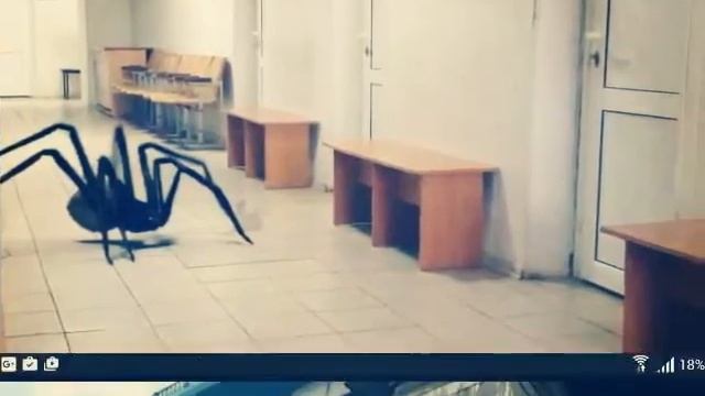 Гигантские пауки существуют!!! смотреть онлайн