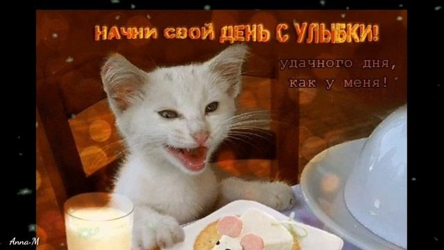 Доброго утра , хорошего дня ..красивое видео , красивая музыка , для тебя... смотреть онлайн