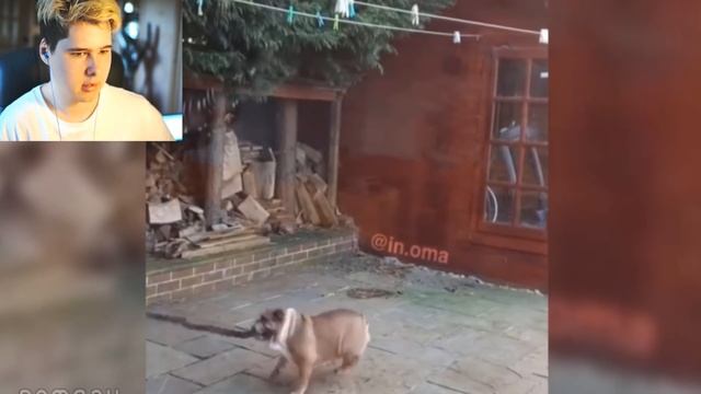УЛЫБНУЛИСЬ ИЛИ ЗАСМЕЯЛИСЬ ПРОИГРАЛИ - ЛУЧШИЕ ПРИКОЛЫ ПОПРОБУЙ ЗАСМЕЯТЬСЯ ЧЕЛЛЕНДЖ ЗАСМЕЯЛСЯ ПРОИГРА смотреть онлайн