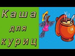 Каша для куриц.  Мешанка для кур
