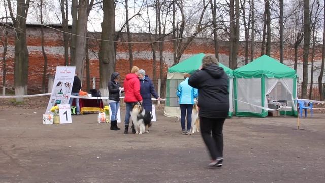 Выбор ЛК смотреть онлайн