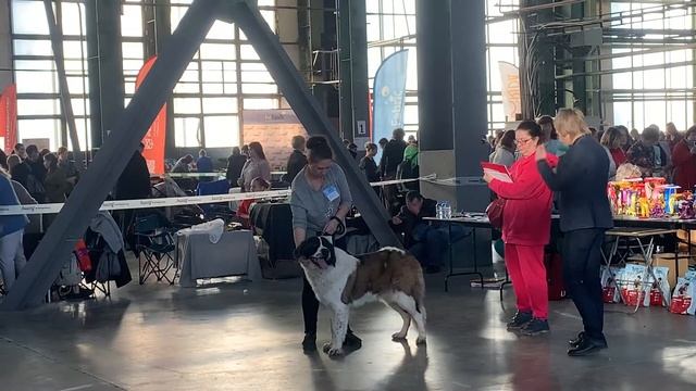 13 ноября 2022 г. смотреть онлайн