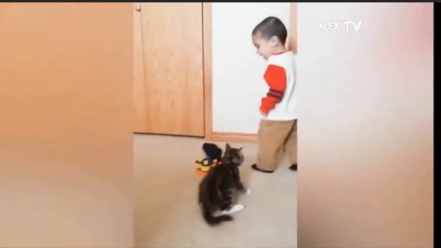 ДЕТИ ИГРАЮТ С КОШЕЧКАМИ Развлечения приколы АлексТВ.ЛУЧШИЕ ПРИКОЛЫ 2020 (АЛЕКСПРИКОЛТВ) смотреть онлайн