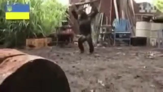 Нарезка смотреть онлайн