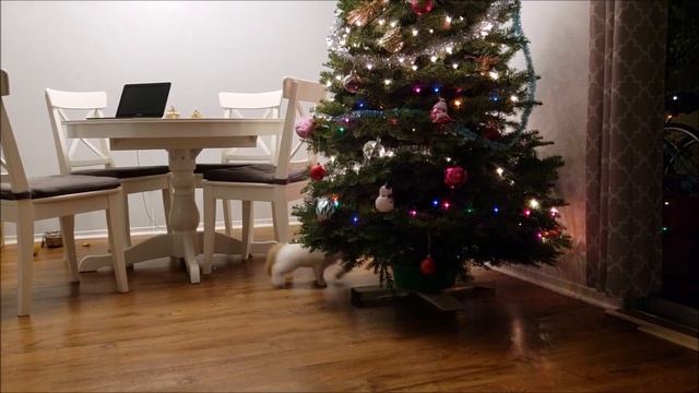 Кот против новогодней елки. Детское видео смотреть онлайн