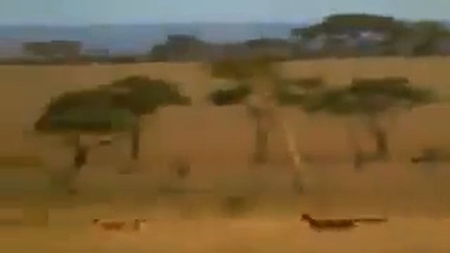 Прикол смотреть онлайн