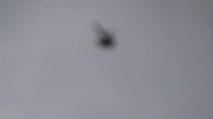 Кировоградские голуби. Мелитопольцы В гостях у Руслана Омельченко