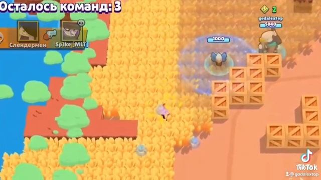 видео с тик тока про brawl Stars смотреть онлайн