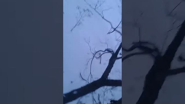 3 приключения на свою попу смотреть онлайн
