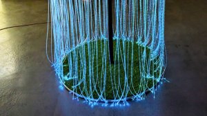 Фиброоптический напольный Гриб: профессиональное оборудование для сенсорных комнат в действии