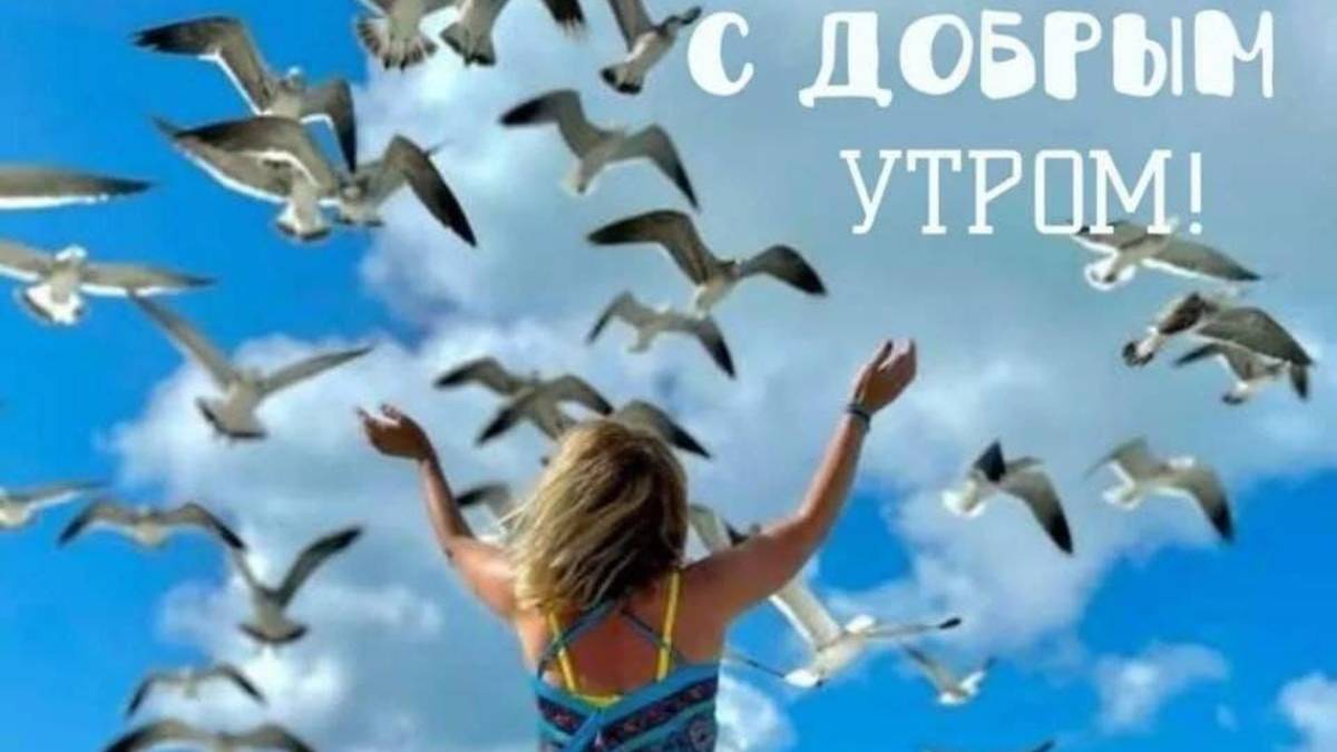 Мой день.Расскажу как пришла к вязанию.* Разбираем мой гардероб весна-лето 2025г смотреть онлайн