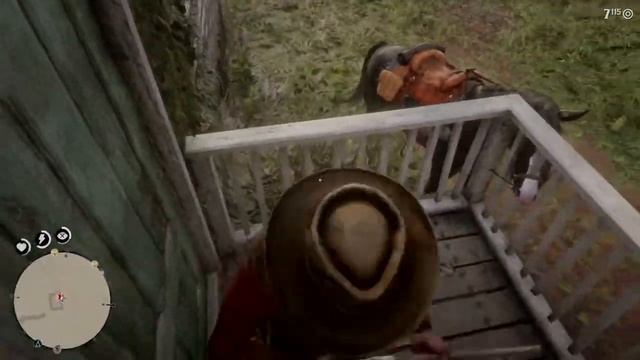 Red Dead Redemption 2_когда пьяный пришёл домой а тебя никто не ждет смотреть онлайн