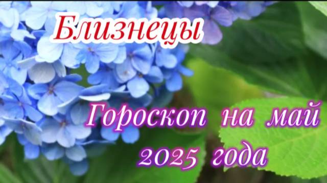 Близнецы! Гороскоп на май 2025 года! смотреть онлайн