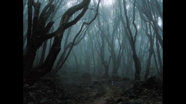 (Mediacenter studios (КАА) Black forest (Made on "Guitar pro 6") смотреть онлайн