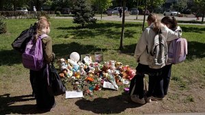 Ветеринары выяснили, чем догхантеры массово травили бездомных собак в Краснодаре