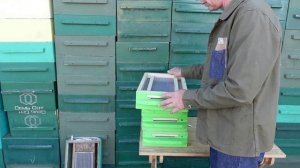 новый пыльцесборник для шестирамочного улья