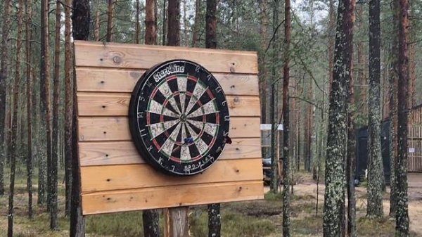 Форест ☆ фон