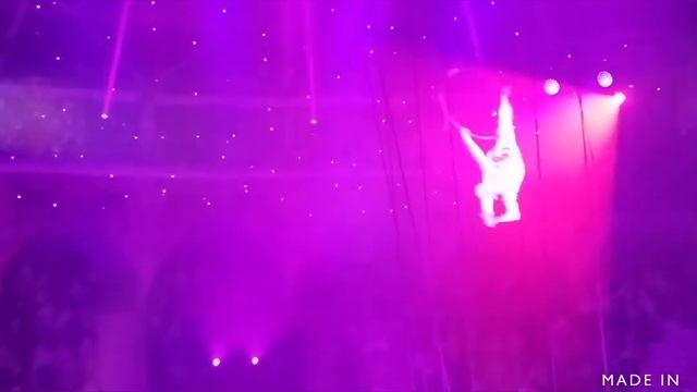 Цирковое шоу Королевский цирк смотреть онлайн