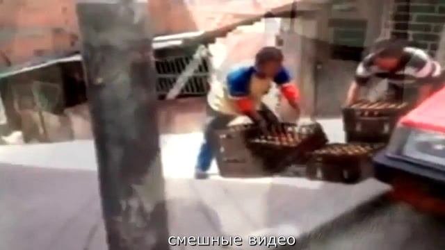 СМЕШНЫЕ ВИДЕО:СВЕЖИЕ ПРИКОЛЫ смотреть онлайн