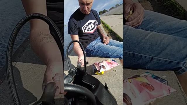 Голубь ворует чипсы смотреть онлайн
