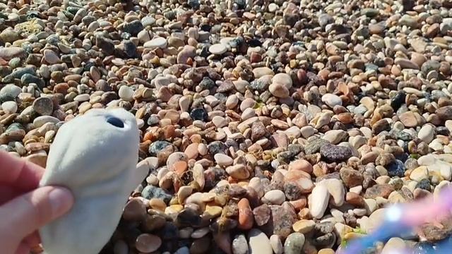 МОЙ ДЕНЬ СО Снежком! Влог дня❤