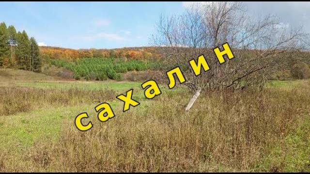 Красноусольск. Сахалин, Поляна бывшей деревни смотреть онлайн