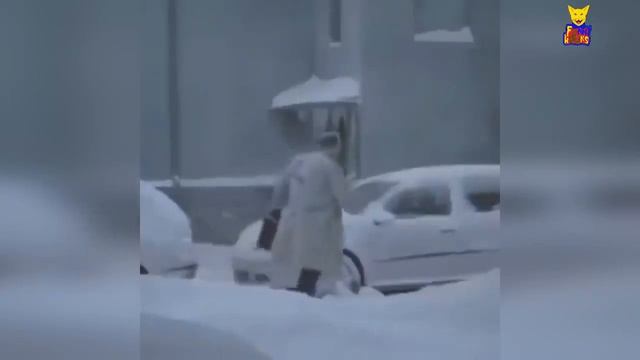 17 МИНУТ СМЕХА ДО СЛЁЗ ФЕВРАЛЬ 2020 ЛУЧШИЕ РУССКИЕ ПРИКОЛЫ ржака угар ПРИКОЛЮХА... смотреть онлайн
