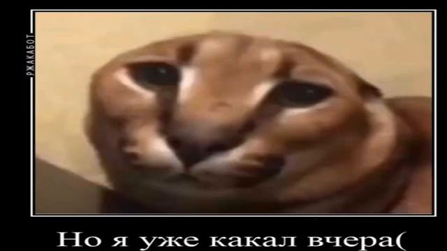 Дайте Шлёпику Деньги на Поп Ыт смотреть онлайн