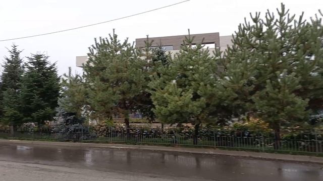 3.10.2022. Хмурый осенний день в парке ''Северный'' Хабаровск.