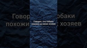 А ваши питомцы похожи на вас? #нинаши #юмор