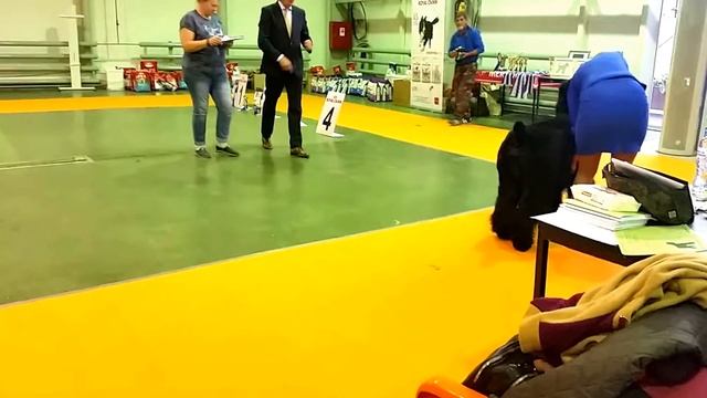15 октября 2017 г.МОНО ЧИК Кобели- Чемпионы ч 3 смотреть онлайн