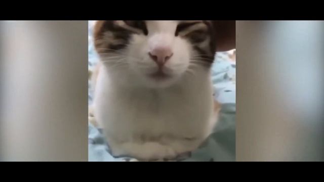 Подборка приколов от "Paradox Corporation"// Только лучшее // Смех до слёз// Отборный юмор смотреть онлайн