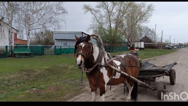 Алтай - д. Долганка смотреть онлайн