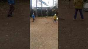 Парк динозавров в Красноярске, Роев ручей.