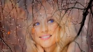 Сборник Лучших песен, 
Лучших исполнителей для Вас! 2011 г.