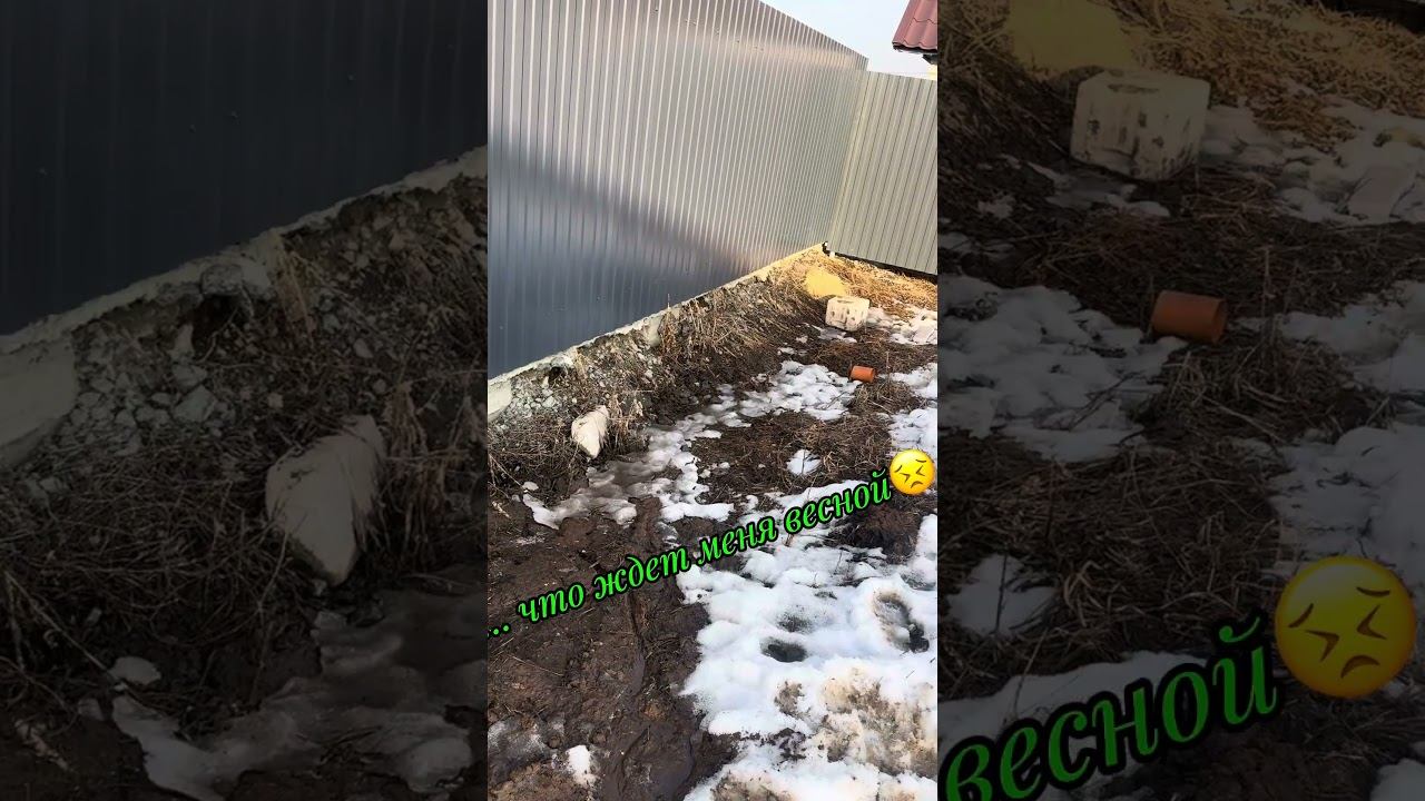 Весна пришла нежданно #потоп #половодье