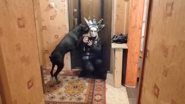 Очень страшная маска )) смотреть онлайн