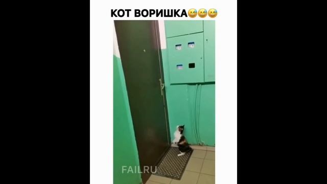 ЛУЧШИЕ ПРИКОЛЫ 2021 до слез угар ржака приколюха 10 МИНУТ смеха Я РЖАЛ ДО СЛЕЗ апрель-ПРИКОЛЮХА смотреть онлайн