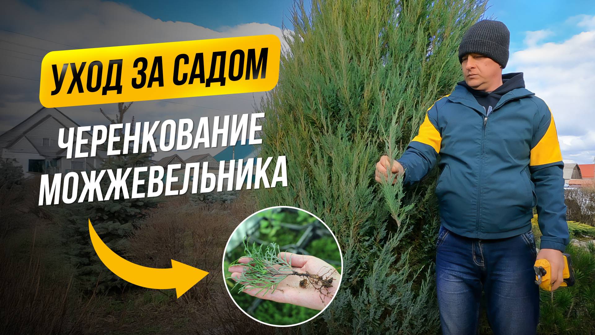 Делаем деревянные грядки для размножения декоративных растений. Можжевельников смотреть онлайн