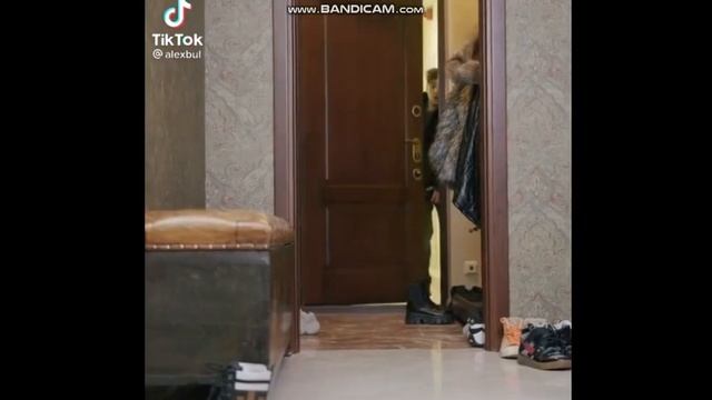 Взрослые приколы из Тик-Тока. смотреть онлайн