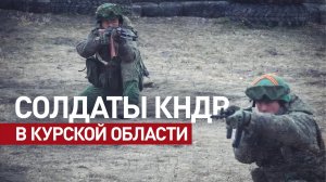 Участвовали в освобождении Курской области: кадры подготовки военных КНДР